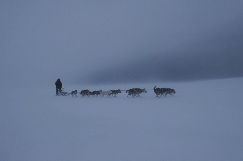 Activities and Cultural Immersion-dog sledge