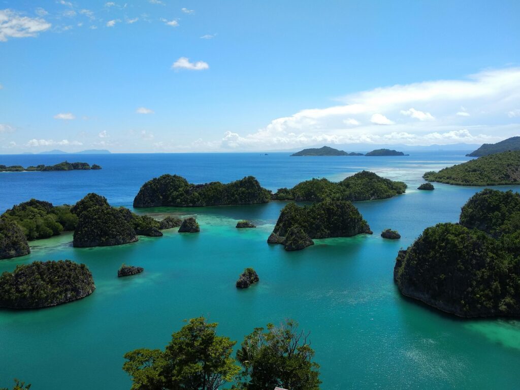 Discovering the Hidden Marine Life in Raja Ampat