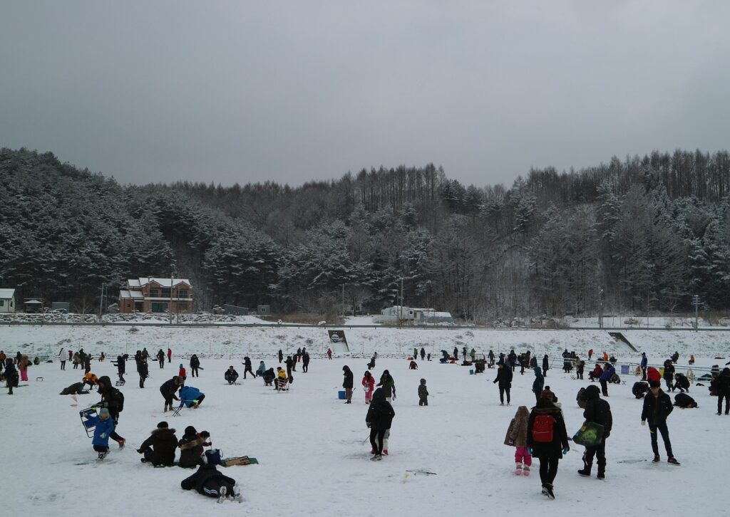 South Korea's Dynamic Winter Festivals and Activities-Pyeongchang Trout Festival